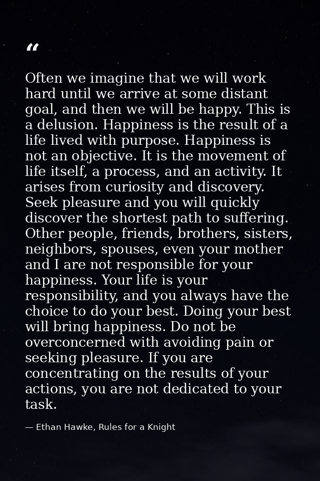 Often we imagine that we will work hard until we arrive at some distant goal, and then we will be happy. This is a delus — Ethan Hawke, Rules for a Knight