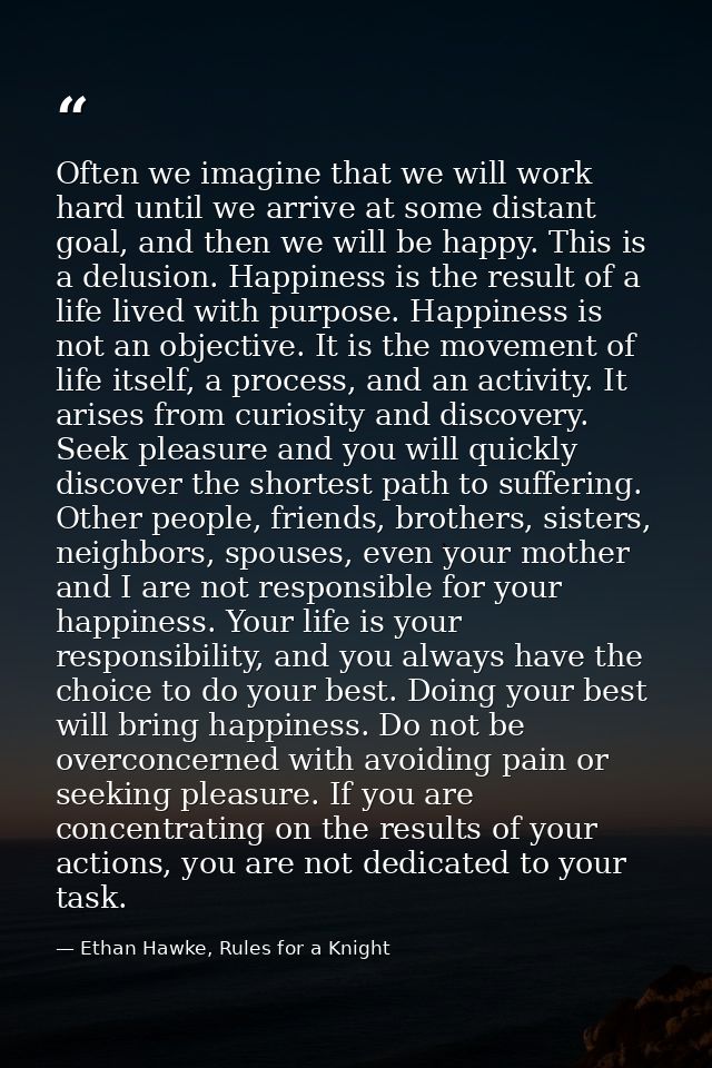 Often we imagine that we will work hard until we arrive at some distant goal, and then we will be happy. This is a delus — Ethan Hawke, Rules for a Knight