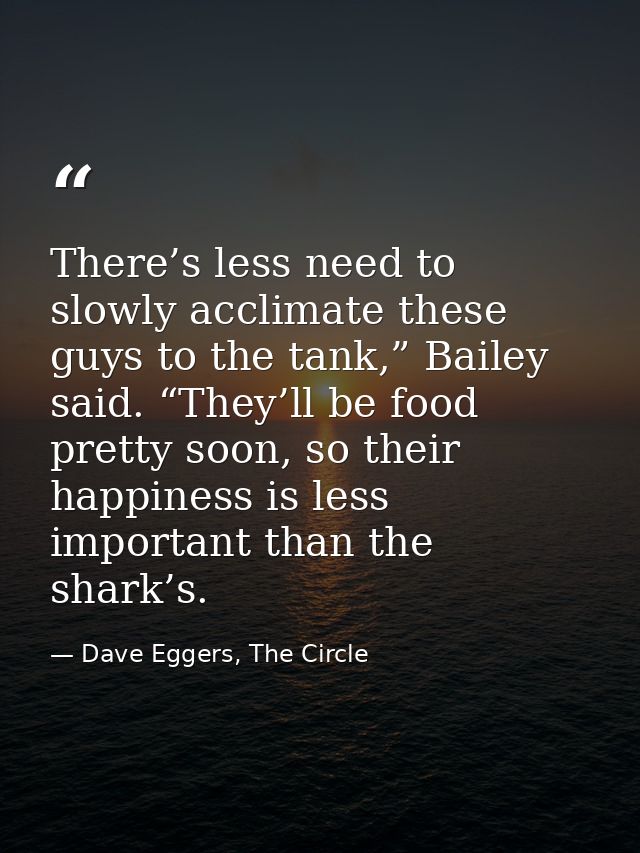There’s less need to slowly acclimate these guys to the tank,” Bailey said. “They’ll be food pretty soon, so their happi — Dave Eggers, The Circle
