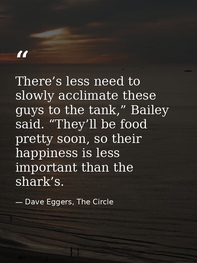 There’s less need to slowly acclimate these guys to the tank,” Bailey said. “They’ll be food pretty soon, so their happi — Dave Eggers, The Circle