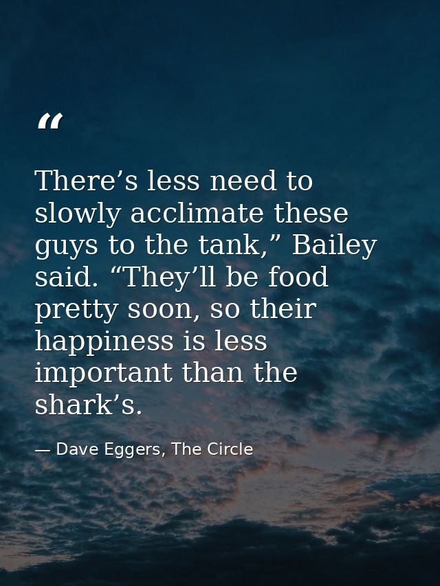 There’s less need to slowly acclimate these guys to the tank,” Bailey said. “They’ll be food pretty soon, so their happi — Dave Eggers, The Circle