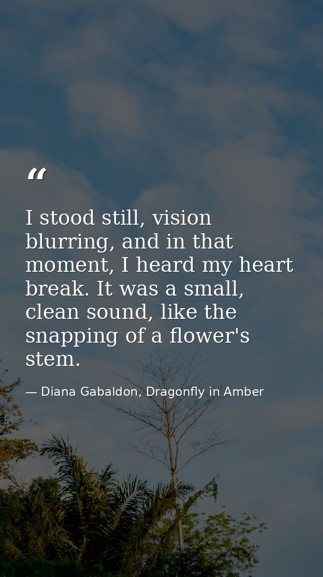 I stood still, vision blurring, and in that moment, I heard my heart break. It was a small, clean sound, like the snappi — Diana Gabaldon, Dragonfly in Amber
