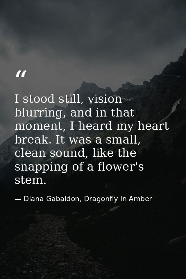 I stood still, vision blurring, and in that moment, I heard my heart break. It was a small, clean sound, like the snappi — Diana Gabaldon, Dragonfly in Amber