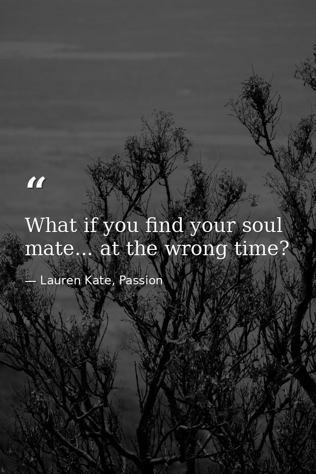 What if you find your soul mate... at the wrong time? — Lauren Kate, Passion