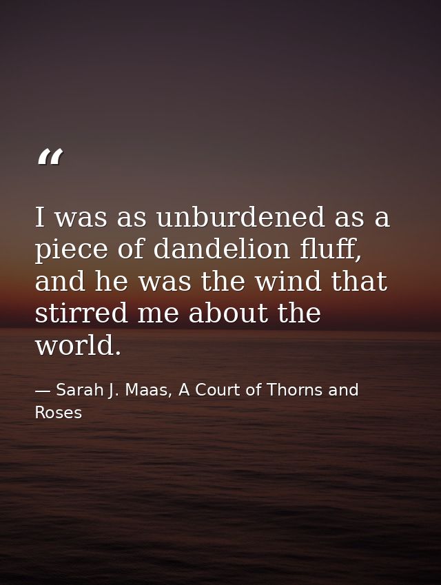I was as unburdened as a piece of dandelion fluff, and he was the wind that stirred me about the world. — Sarah J. Maas, A Court of Thorns and Roses