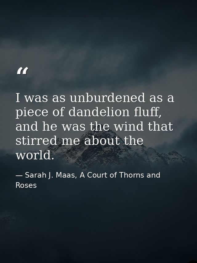 I was as unburdened as a piece of dandelion fluff, and he was the wind that stirred me about the world. — Sarah J. Maas, A Court of Thorns and Roses