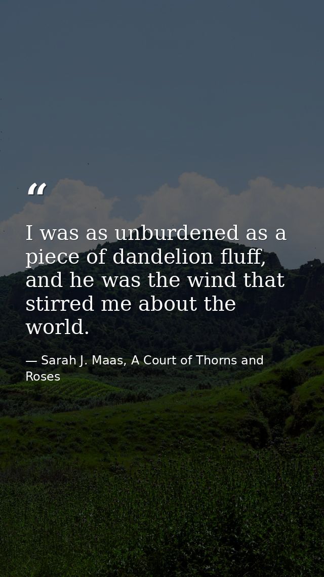 I was as unburdened as a piece of dandelion fluff, and he was the wind that stirred me about the world. — Sarah J. Maas, A Court of Thorns and Roses