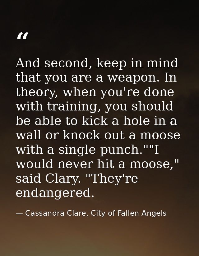 And second, keep in mind that you are a weapon. In theory, when you're done with training, you should be able to kick a  — Cassandra Clare, City of Fallen Angels