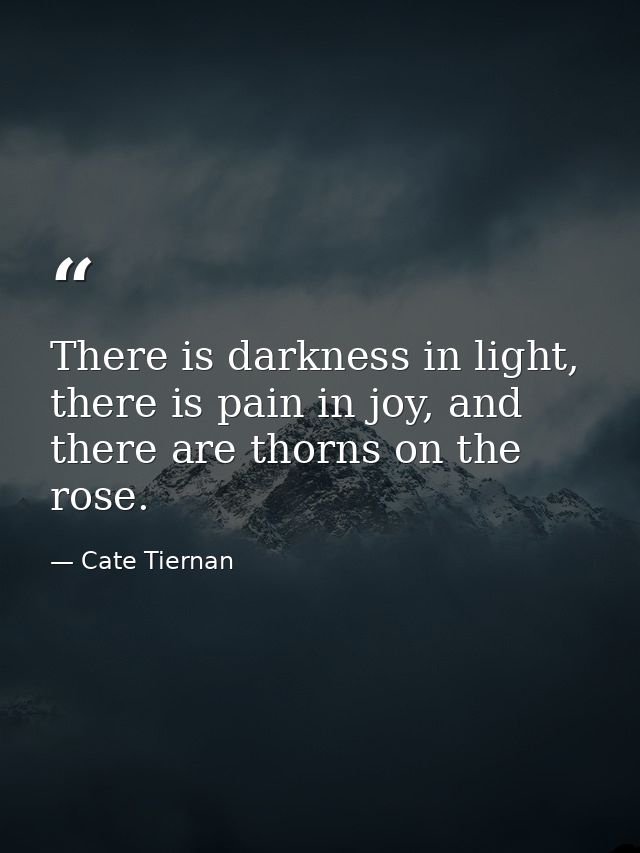 There is darkness in light, there is pain in joy, and there are thorns on the rose. — Cate Tiernan