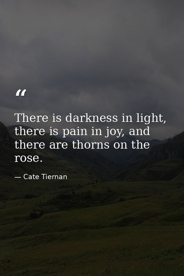 There is darkness in light, there is pain in joy, and there are thorns on the rose. — Cate Tiernan