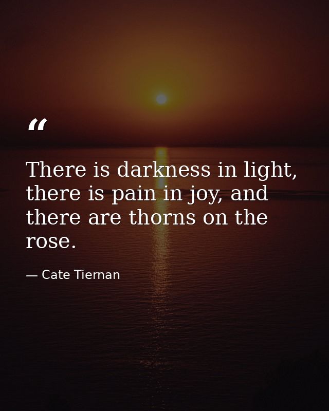 There is darkness in light, there is pain in joy, and there are thorns on the rose. — Cate Tiernan