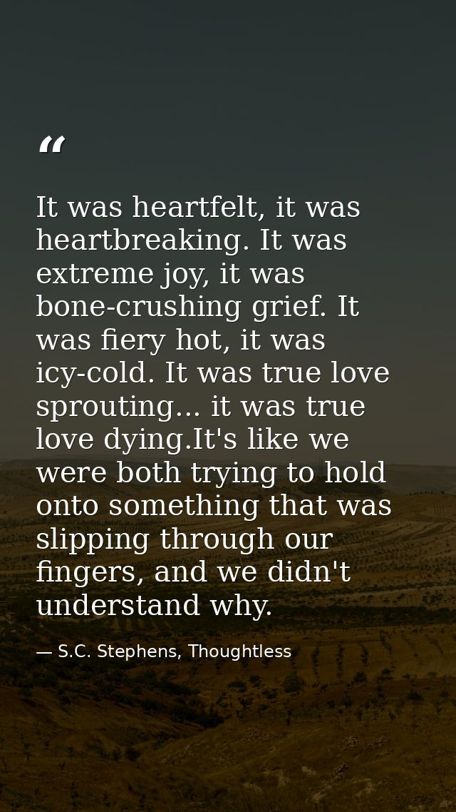 It was heartfelt, it was heartbreaking. It was extreme joy, it was bone-crushing grief. It was fiery hot, it was icy-col — S.C. Stephens, Thoughtless