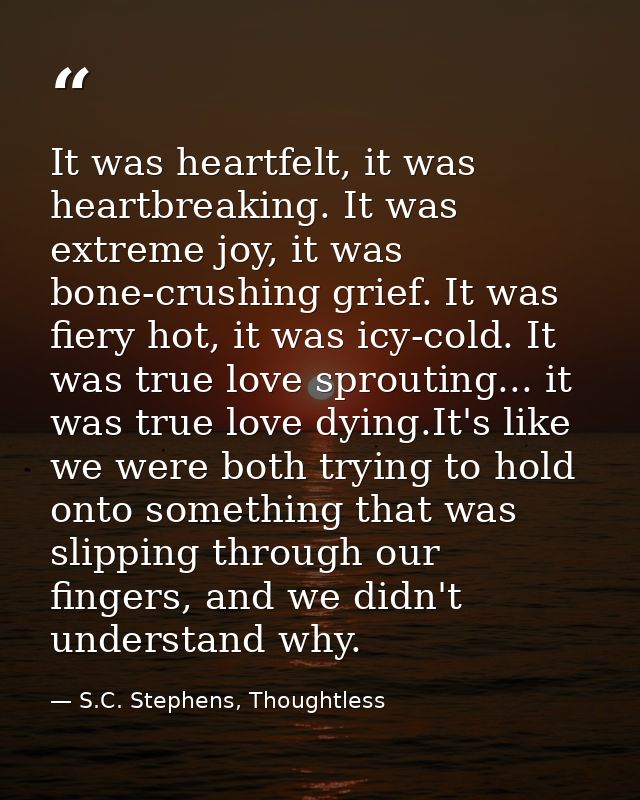 It was heartfelt, it was heartbreaking. It was extreme joy, it was bone-crushing grief. It was fiery hot, it was icy-col — S.C. Stephens, Thoughtless
