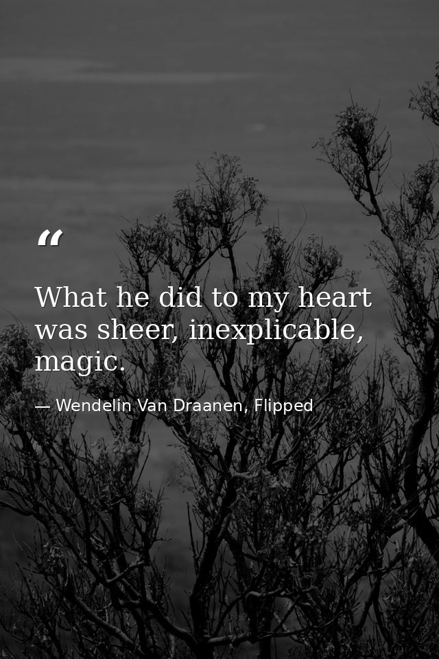 What he did to my heart was sheer, inexplicable, magic. — Wendelin Van Draanen, Flipped