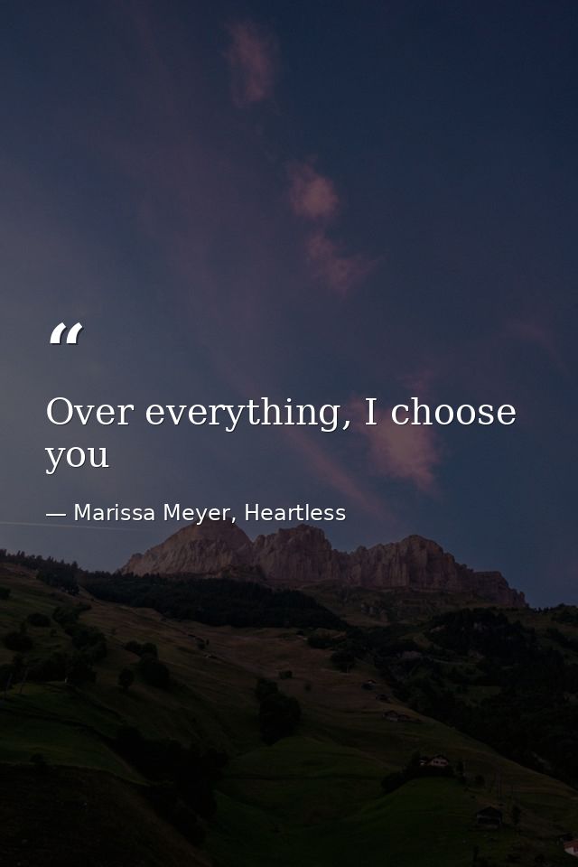 Over everything, I choose you — Marissa Meyer, Heartless