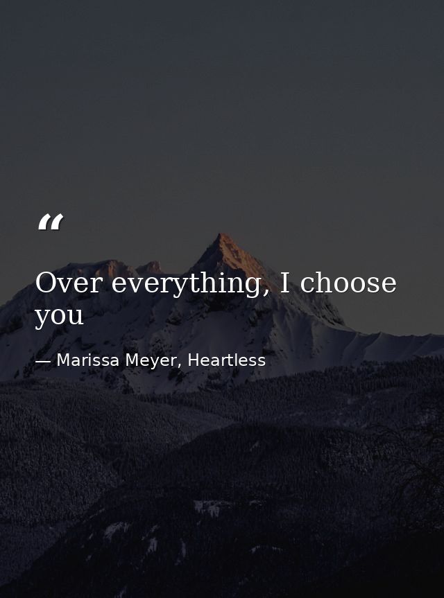 Over everything, I choose you — Marissa Meyer, Heartless