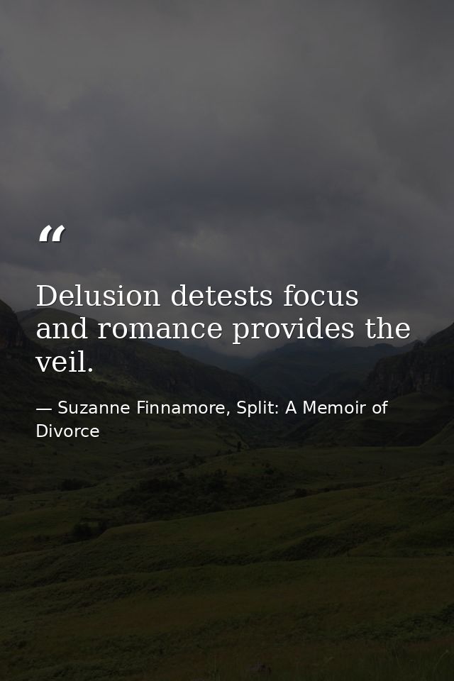 Delusion detests focus and romance provides the veil. — Suzanne Finnamore, Split: A Memoir of Divorce