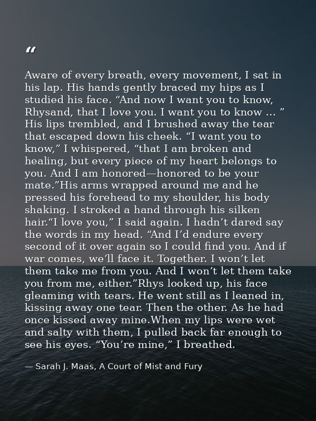 Aware of every breath, every movement, I sat in his lap. His hands gently braced my hips as I studied his face. “And now — Sarah J. Maas, A Court of Mist and Fury
