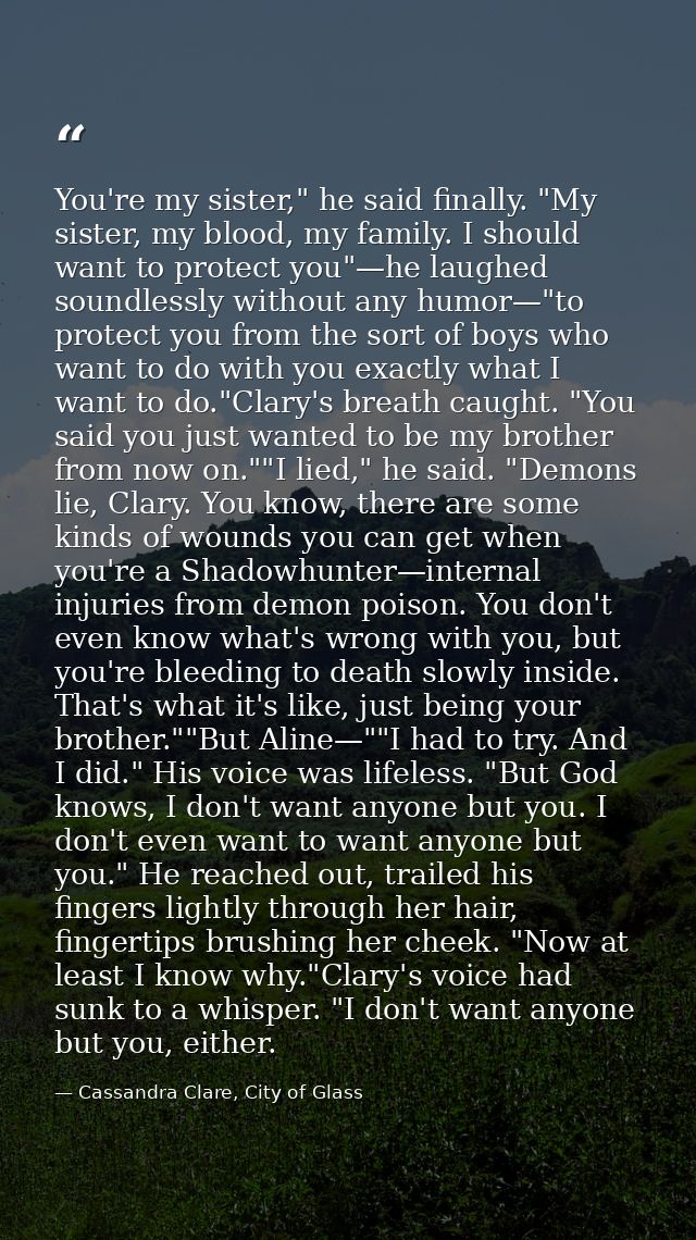 You're my sister," he said finally. "My sister, my blood, my family. I should want to protect you"—he laughed soundlessl — Cassandra Clare, City of Glass