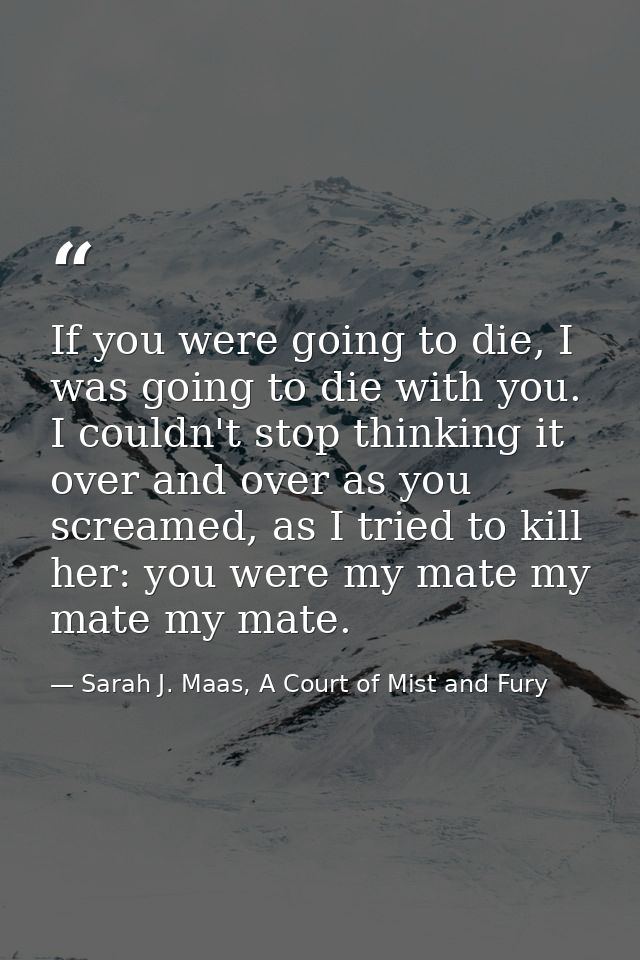 If you were going to die, I was going to die with you. I couldn't stop thinking it over and over as you screamed, as I t — Sarah J. Maas, A Court of Mist and Fury