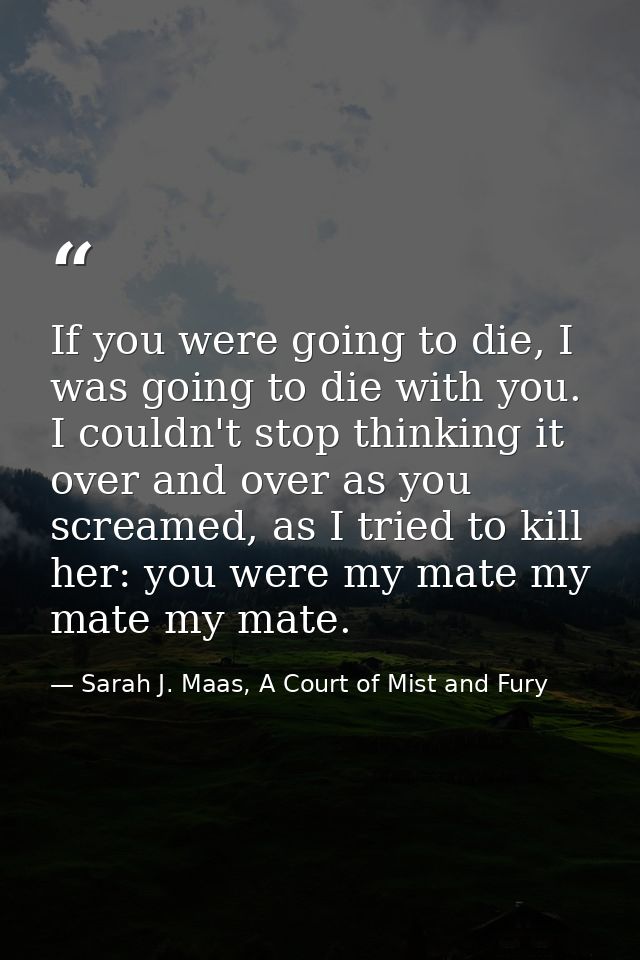 If you were going to die, I was going to die with you. I couldn't stop thinking it over and over as you screamed, as I t — Sarah J. Maas, A Court of Mist and Fury