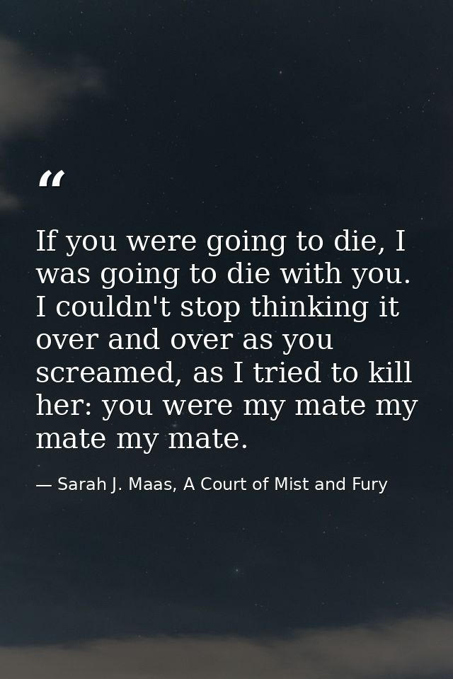 If you were going to die, I was going to die with you. I couldn't stop thinking it over and over as you screamed, as I t — Sarah J. Maas, A Court of Mist and Fury