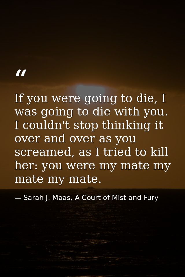 If you were going to die, I was going to die with you. I couldn't stop thinking it over and over as you screamed, as I t — Sarah J. Maas, A Court of Mist and Fury