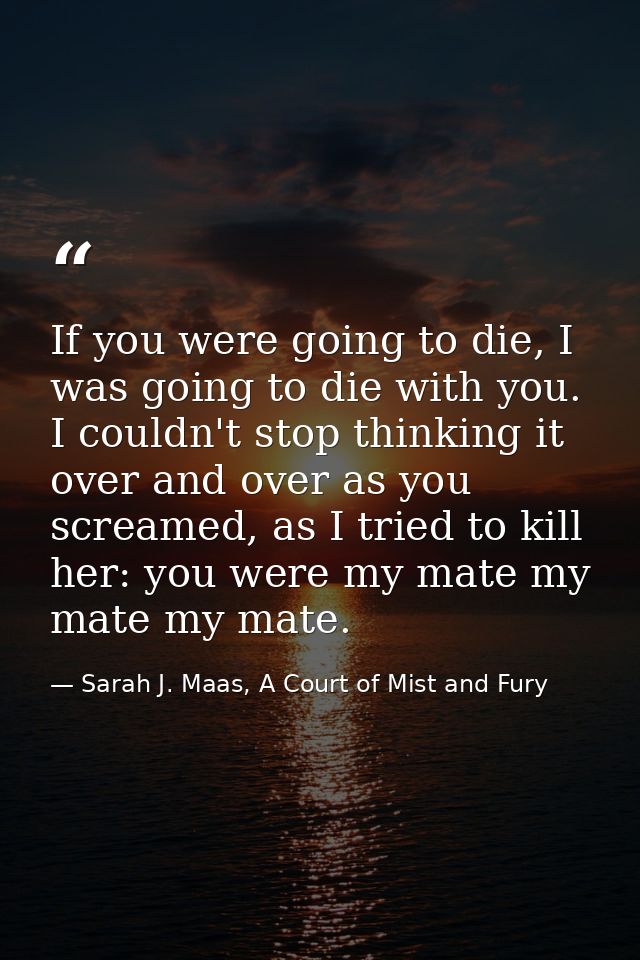 If you were going to die, I was going to die with you. I couldn't stop thinking it over and over as you screamed, as I t — Sarah J. Maas, A Court of Mist and Fury