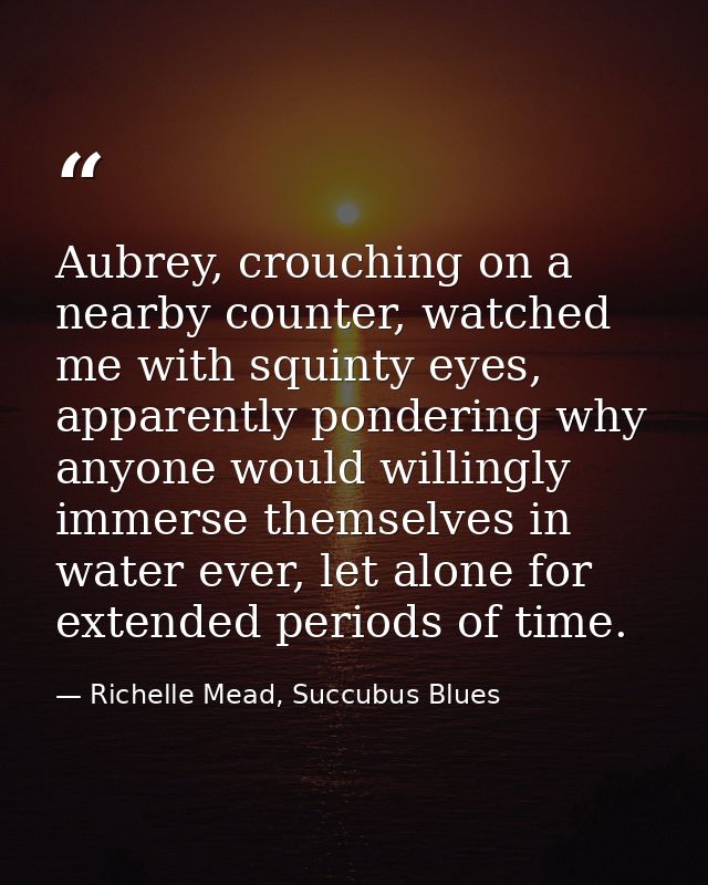 Aubrey, crouching on a nearby counter, watched me with squinty eyes, apparently pondering why anyone would willingly imm — Richelle Mead, Succubus Blues