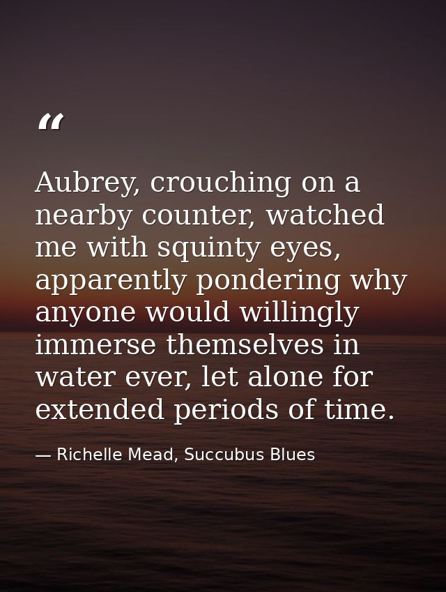 Aubrey, crouching on a nearby counter, watched me with squinty eyes, apparently pondering why anyone would willingly imm — Richelle Mead, Succubus Blues