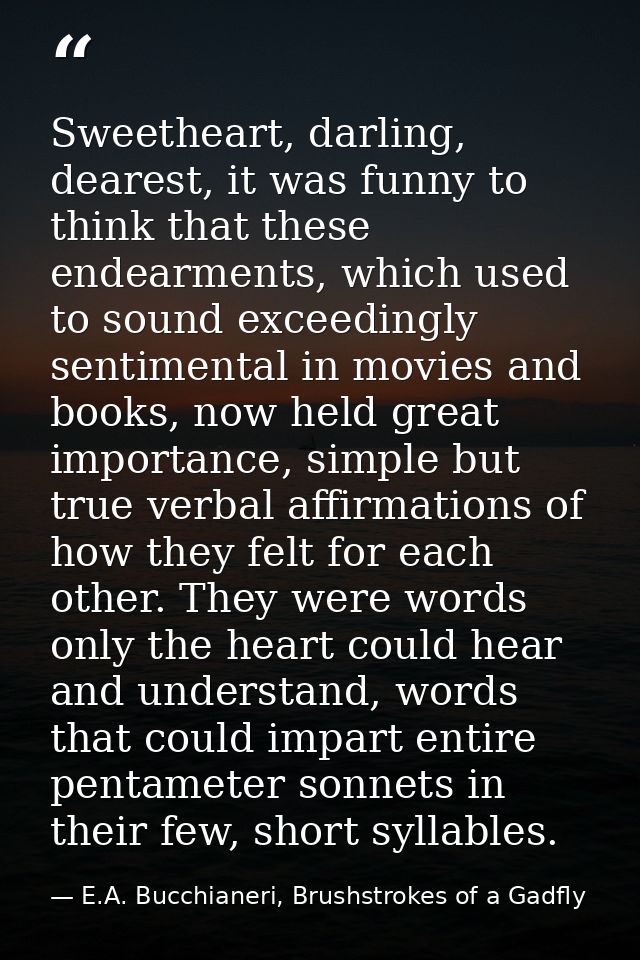 Sweetheart, darling, dearest, it was funny to think that these endearments, which used to sound exceedingly sentimental  — E.A. Bucchianeri, Brushstrokes of a Gadfly