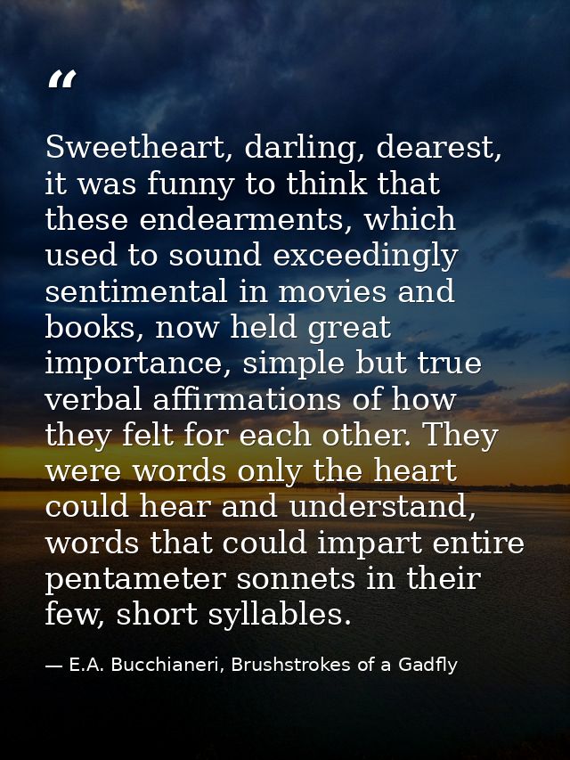 Sweetheart, darling, dearest, it was funny to think that these endearments, which used to sound exceedingly sentimental  — E.A. Bucchianeri, Brushstrokes of a Gadfly