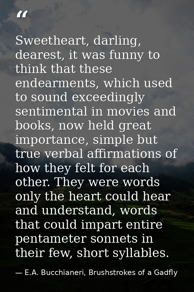 Sweetheart, darling, dearest, it was funny to think that these endearments, which used to sound exceedingly sentimental  — E.A. Bucchianeri, Brushstrokes of a Gadfly