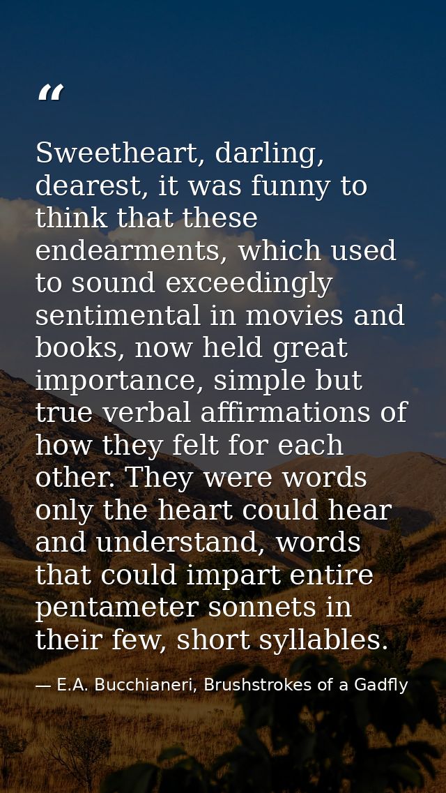 Sweetheart, darling, dearest, it was funny to think that these endearments, which used to sound exceedingly sentimental  — E.A. Bucchianeri, Brushstrokes of a Gadfly