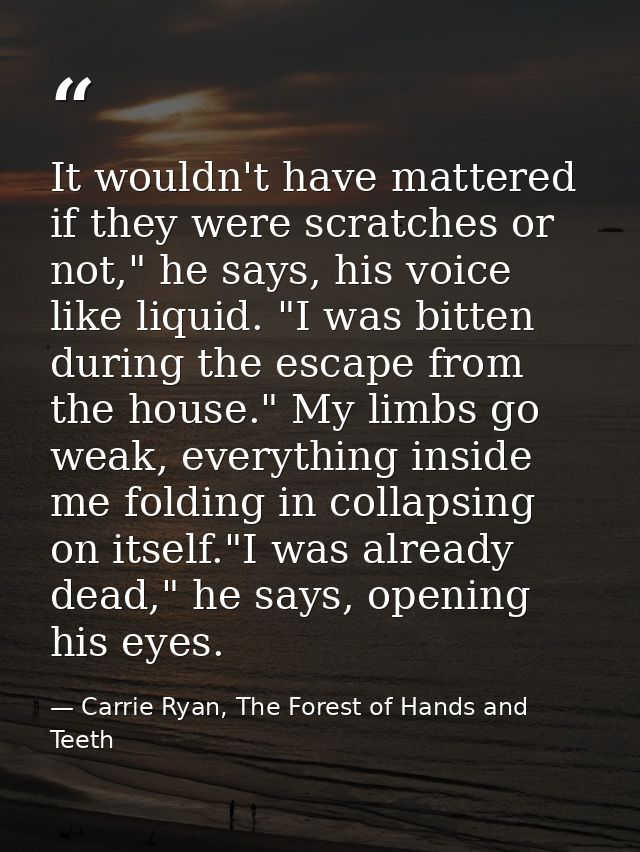 It wouldn't have mattered if they were scratches or not," he says, his voice like liquid. "I was bitten during the escap — Carrie Ryan, The Forest of Hands and Teeth