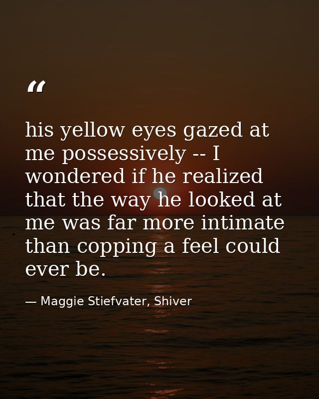 his yellow eyes gazed at me possessively -- I wondered if he realized that the way he looked at me was far more intimate — Maggie Stiefvater, Shiver