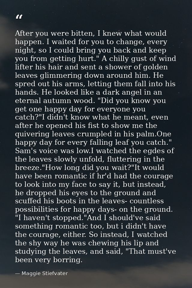 After you were bitten, I knew what would happen. I waited for you to change, every night, so I could bring you back and  — Maggie Stiefvater