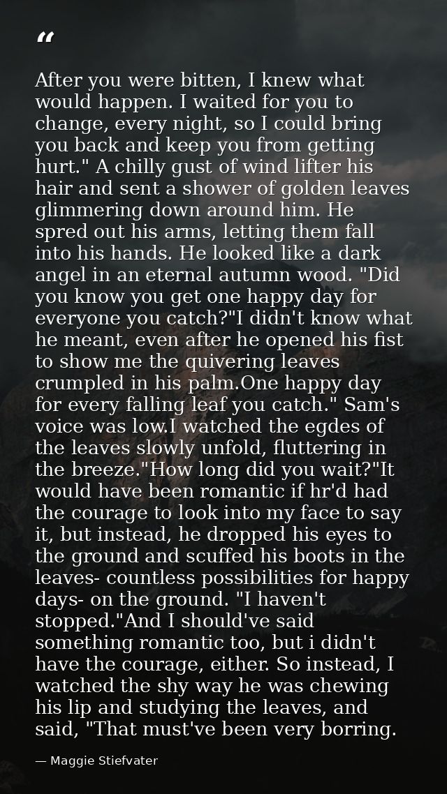 After you were bitten, I knew what would happen. I waited for you to change, every night, so I could bring you back and  — Maggie Stiefvater