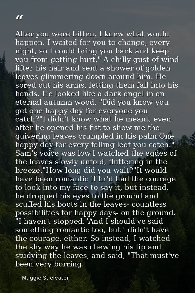 After you were bitten, I knew what would happen. I waited for you to change, every night, so I could bring you back and  — Maggie Stiefvater