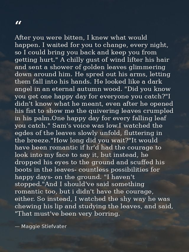 After you were bitten, I knew what would happen. I waited for you to change, every night, so I could bring you back and  — Maggie Stiefvater