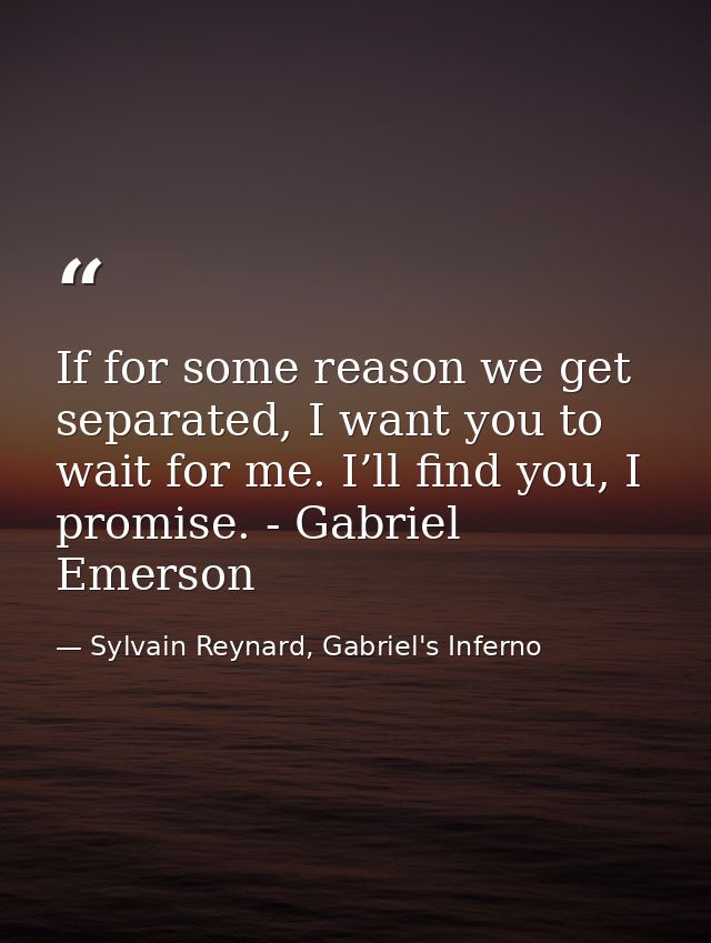 If for some reason we get separated, I want you to wait for me. I’ll find you, I promise. - Gabriel Emerson — Sylvain Reynard, Gabriel's Inferno