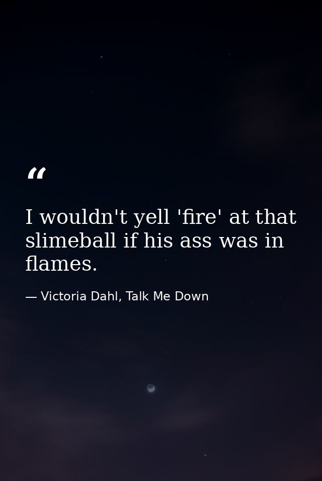 I wouldn't yell 'fire' at that slimeball if his ass was in flames. — Victoria Dahl, Talk Me Down
