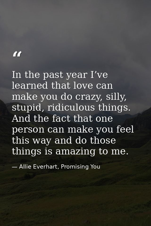 In the past year I’ve learned that love can make you do crazy, silly, stupid, ridiculous things. And the fact that one p — Allie Everhart, Promising You