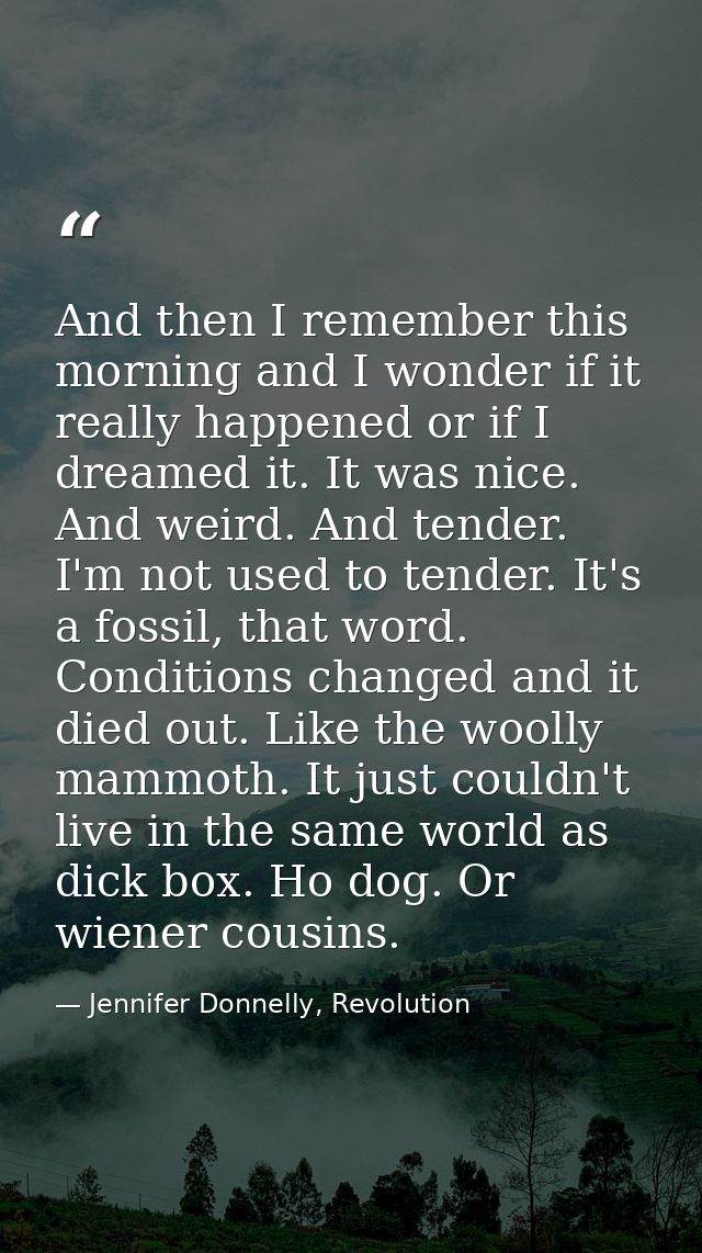 And then I remember this morning and I wonder if it really happened or if I dreamed it. It was nice. And weird. And tend — Jennifer Donnelly, Revolution