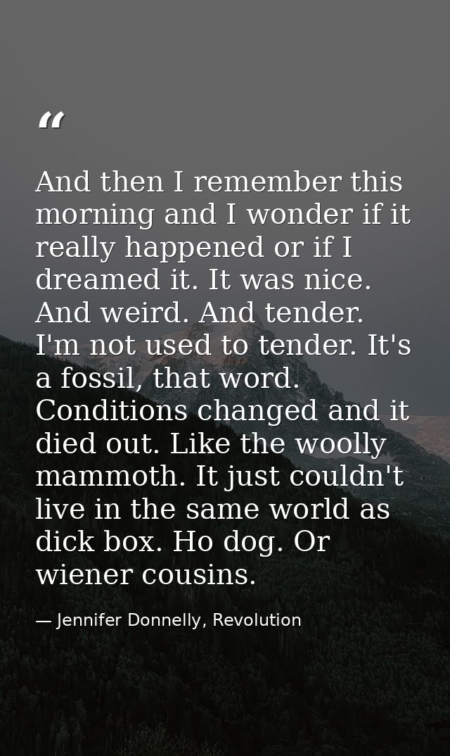And then I remember this morning and I wonder if it really happened or if I dreamed it. It was nice. And weird. And tend — Jennifer Donnelly, Revolution