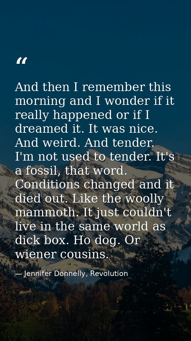 And then I remember this morning and I wonder if it really happened or if I dreamed it. It was nice. And weird. And tend — Jennifer Donnelly, Revolution