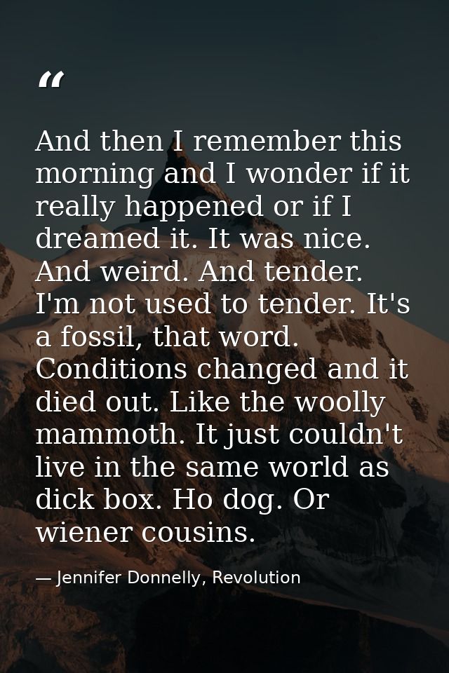 And then I remember this morning and I wonder if it really happened or if I dreamed it. It was nice. And weird. And tend — Jennifer Donnelly, Revolution