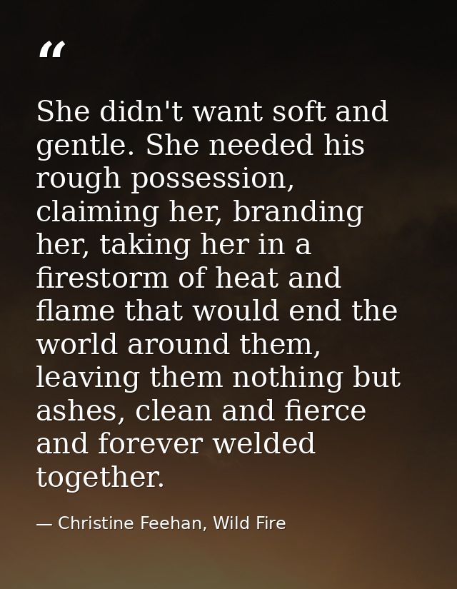 She didn't want soft and gentle. She needed his rough possession, claiming her, branding her, taking her in a firestorm  — Christine Feehan, Wild Fire