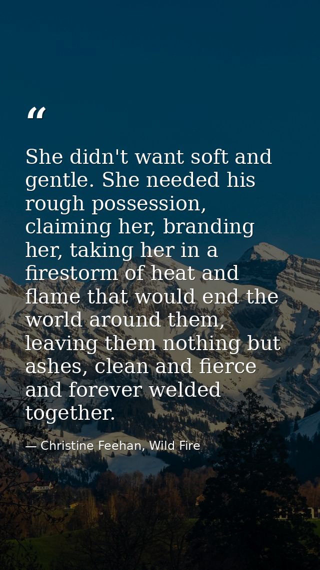 She didn't want soft and gentle. She needed his rough possession, claiming her, branding her, taking her in a firestorm  — Christine Feehan, Wild Fire