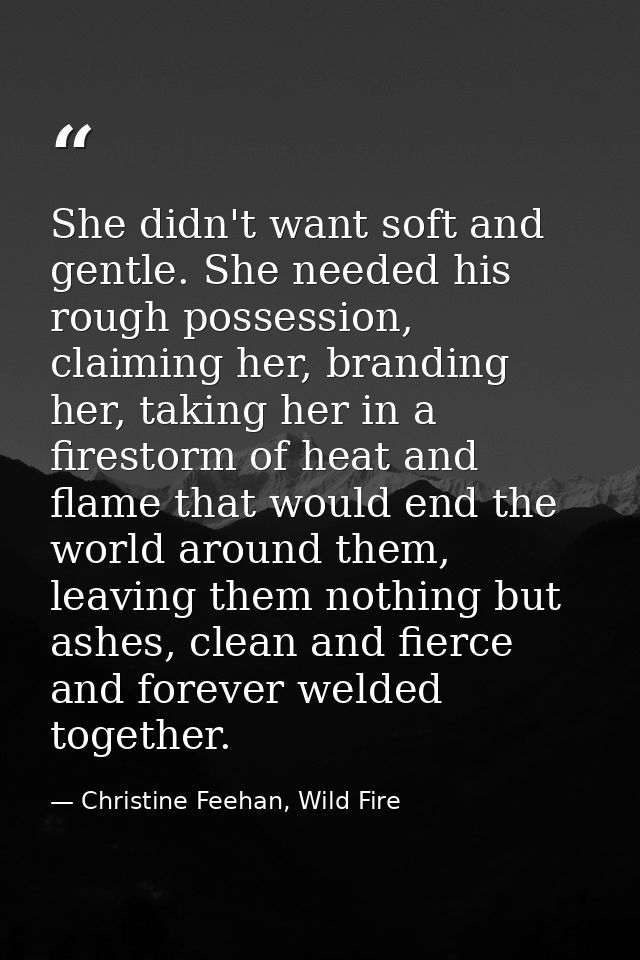 She didn't want soft and gentle. She needed his rough possession, claiming her, branding her, taking her in a firestorm  — Christine Feehan, Wild Fire